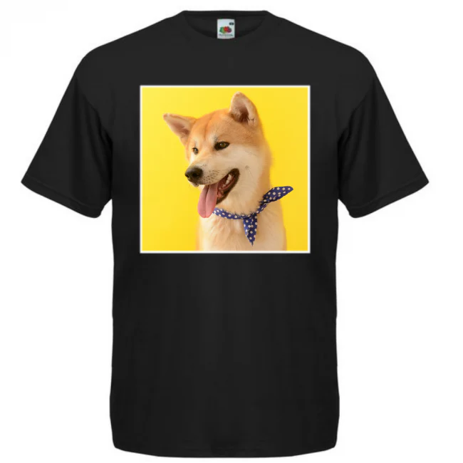 Pikkukuva 1