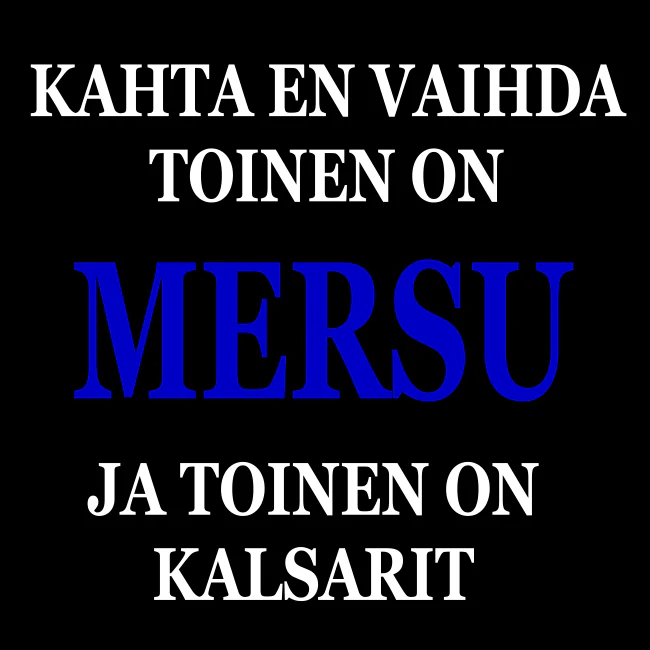 Tuotekuva 2