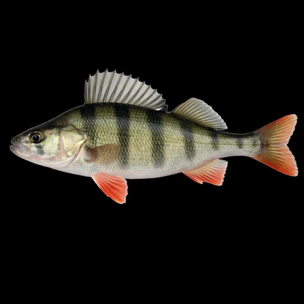 Tuotekuva 2