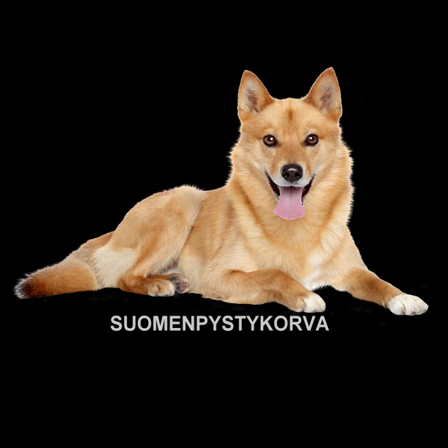 Tuotekuva 3